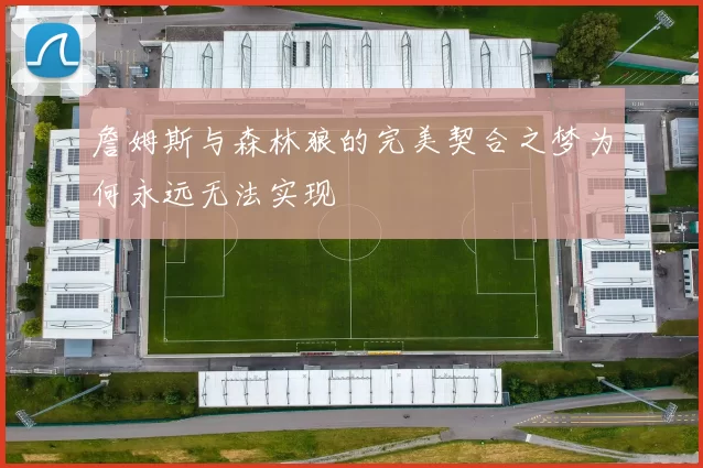 詹姆斯与森林狼的完美契合之梦为何永远无法实现